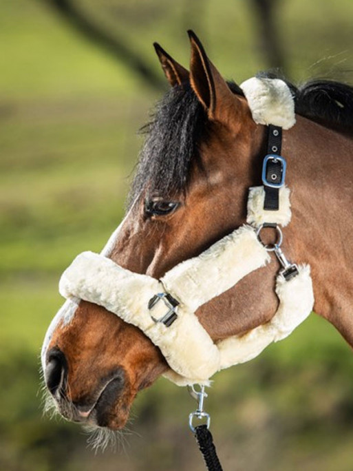 Licol Polo Halter HFI