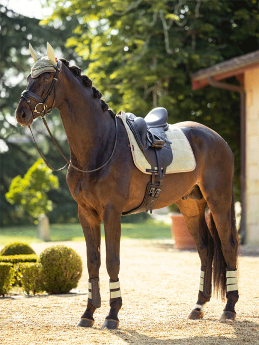 Guêtres Grafter Brushing Boots LeMieux
