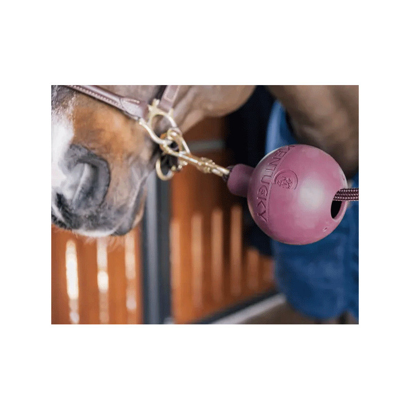 Balle de protection d'attache Kentucky