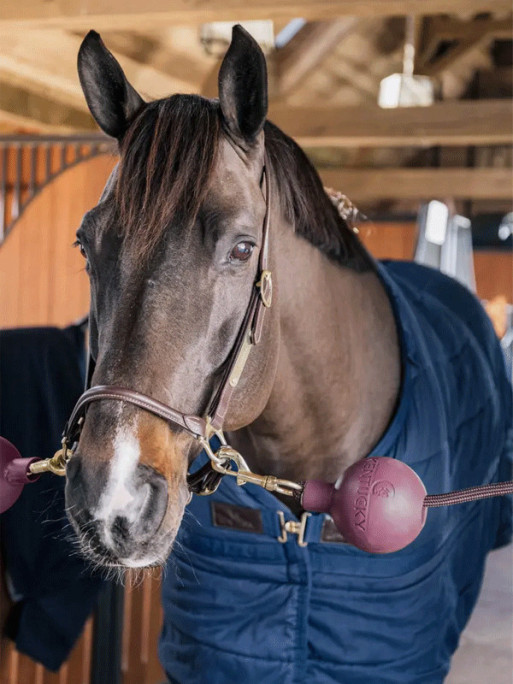 Balle de protection d'attache Kentucky