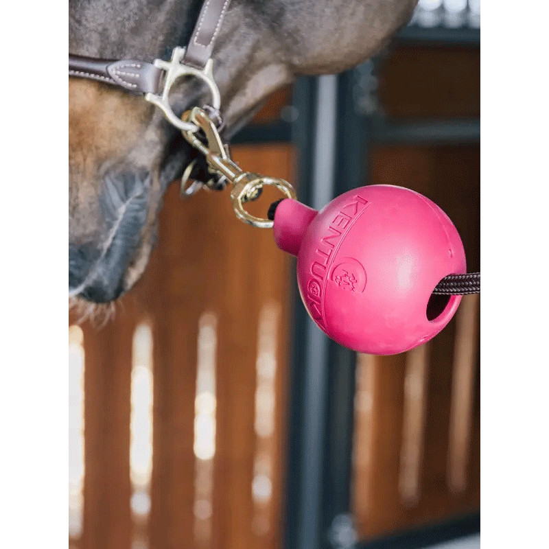 Balle de protection d'attache Kentucky