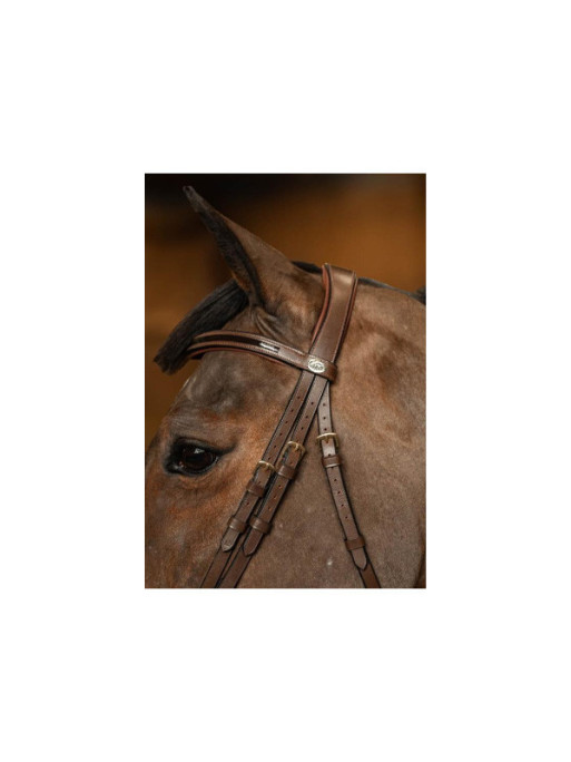 Bridon Edges Hoofdstel HFI Bridon Edges Hoofdstel HFI
