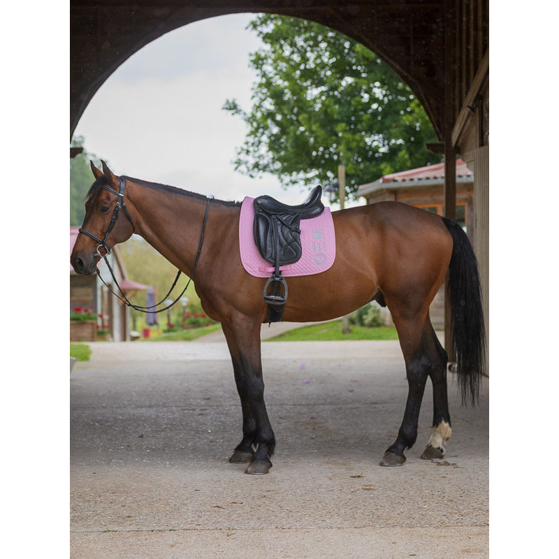 Tapis Ten dressage GEM