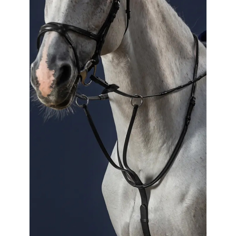 Martingale à anneaux New English Collection Dy'on