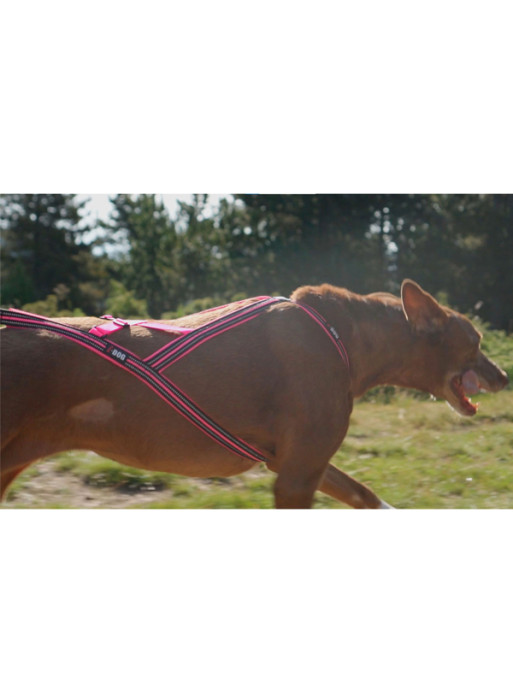 Harnais Canicross X-Back One I-Dog
