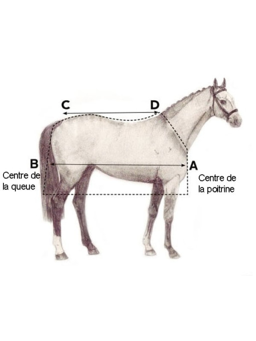 Couverture Amigo Bravo 12 Wug 0g Horseware Couverture Amigo Bravo 12 Wug 0g Horseware