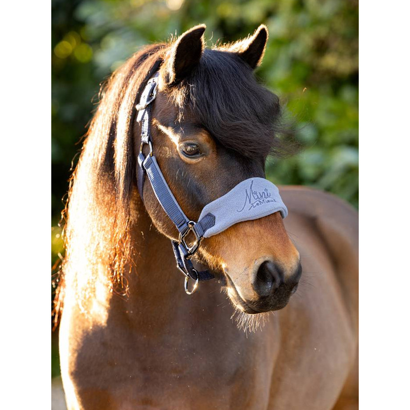 Licol mini vogue Toy Pony Lemieux