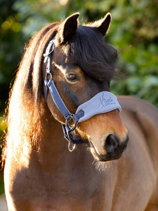 Licol mini vogue Toy Pony Lemieux Licol mini vogue Toy Pony Lemieux
