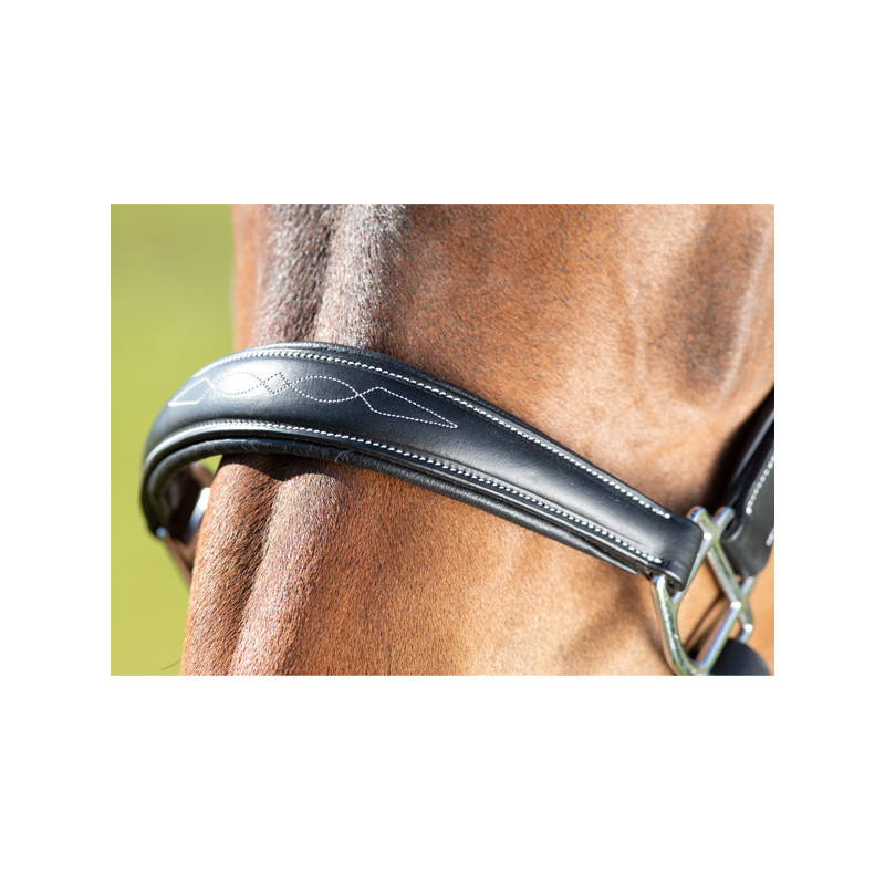 Licol grooming halter HFI
