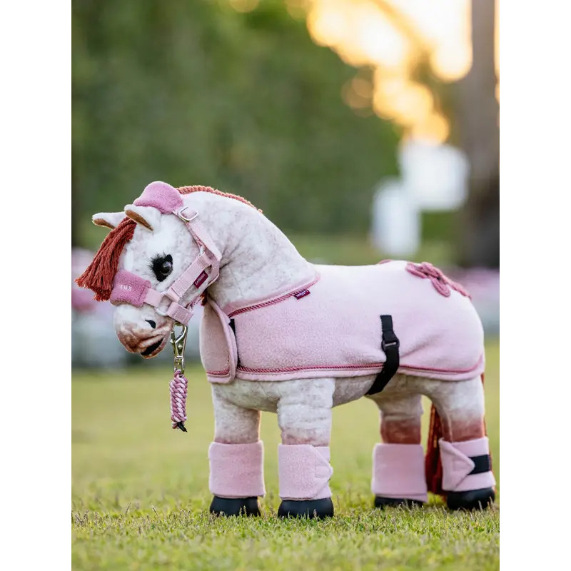 Couverture Toy Pony Lemieux