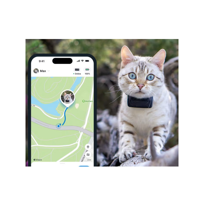 Traceur GPS connecté Cat Mini Tractive