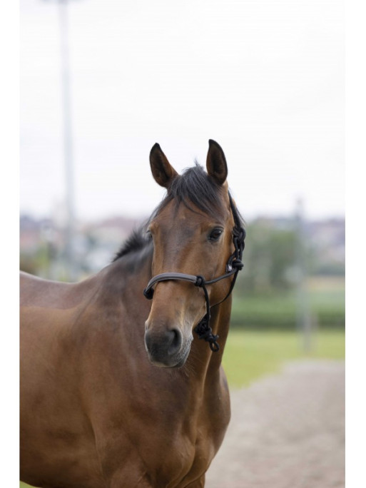 Licol éthologique Corde/Synthétique Norton