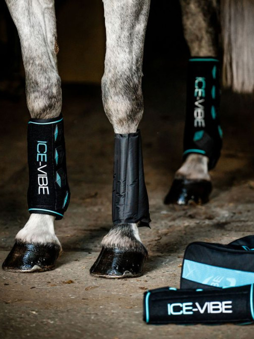 Guêtres Ice-Vibe New Horseware Guêtres Ice-Vibe New Horseware