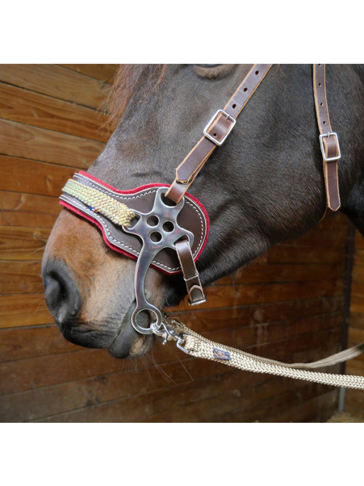 Hackamore en cuir et feutre de laine Ronzon Legend Hackamore en cuir et feutre de laine Ronzon Legend