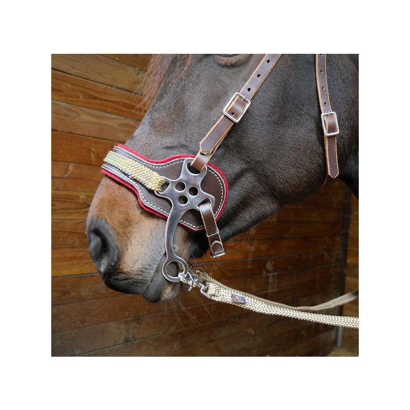 Hackamore avec bridon en cuir et feuttre de laine Ronzon Legend