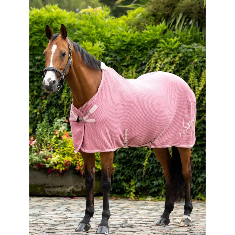 Chemise séchante 