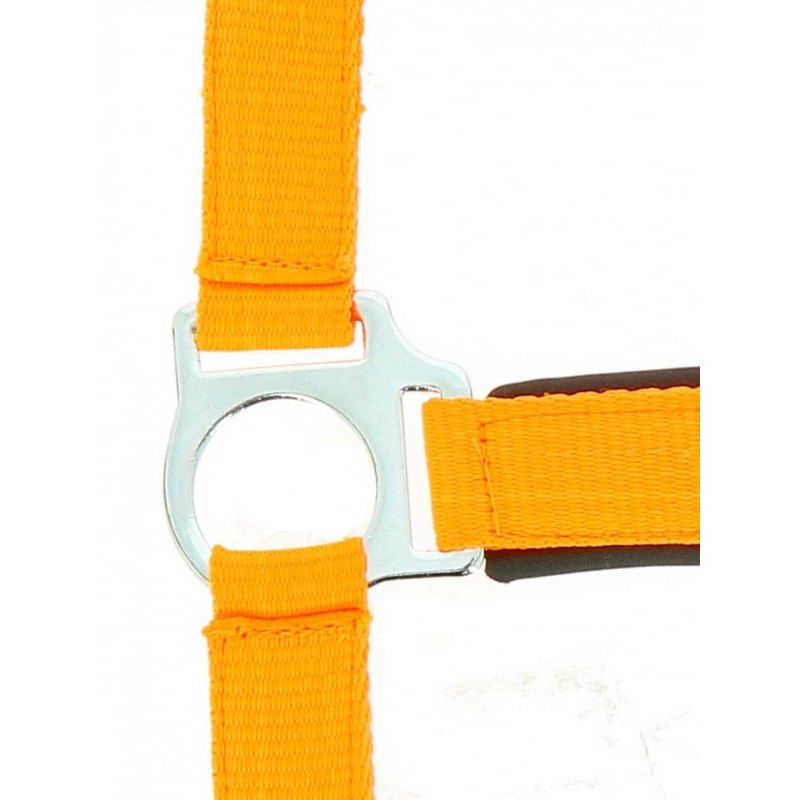 Licol Fluo Norton