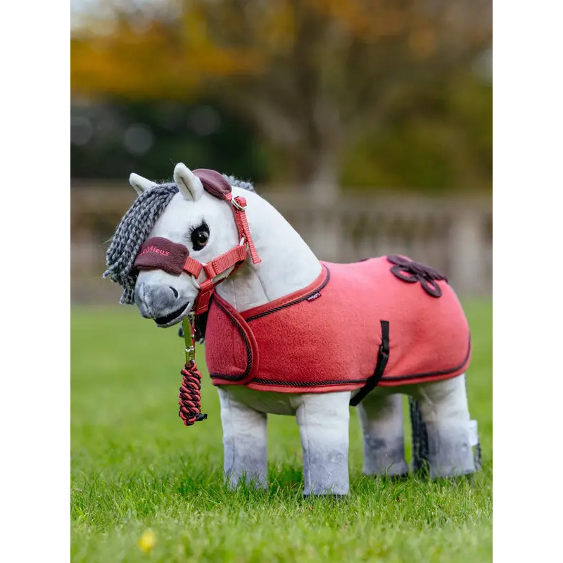 Couverture Toy Pony Lemieux