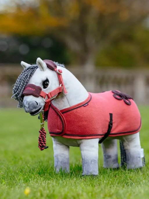 Couverture Toy Pony Lemieux