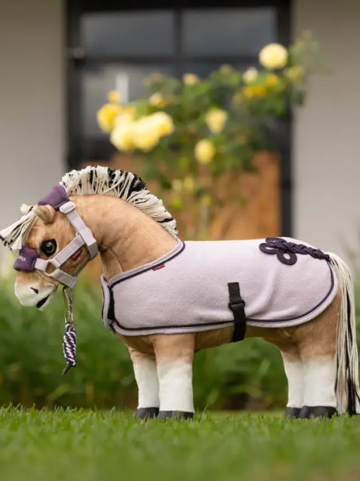 Couverture Toy Pony Lemieux