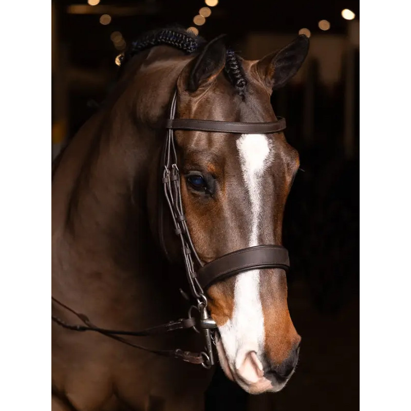 Bridon plat hunter avec rênes tréssées LeMieux