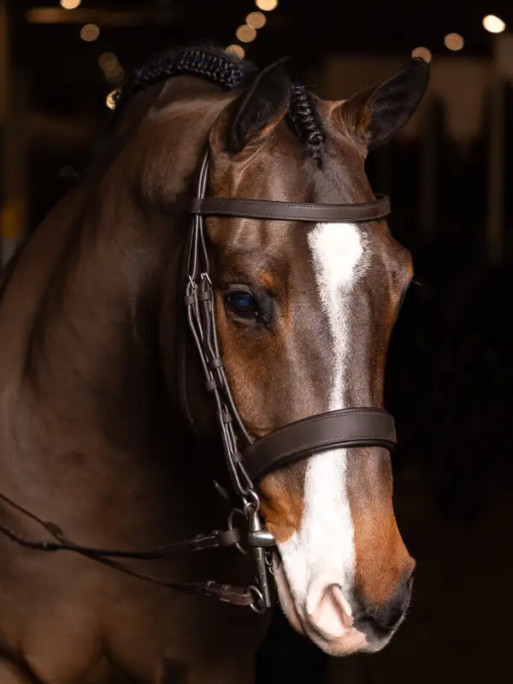 Bridon plat hunter avec rênes tréssées LeMieux