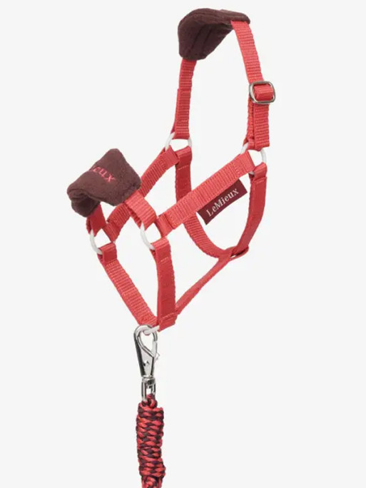 Licol et longe Vogue Hobby Horse LeMieux