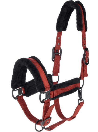 Licol FW25 Covalliero 