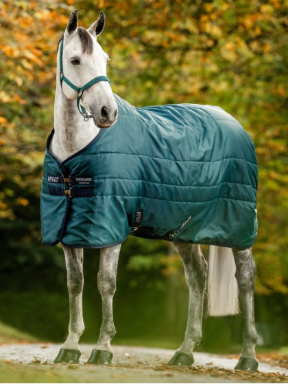 Couverture Amigo Diamond Insulator 100g Horseware