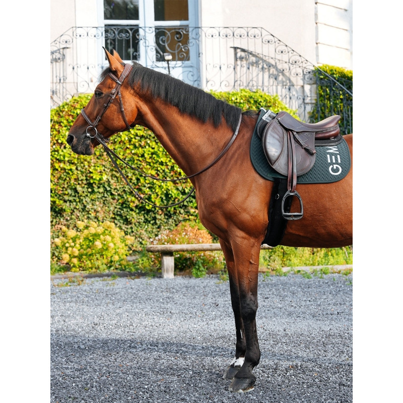 Tapis Ten obstacle GEM