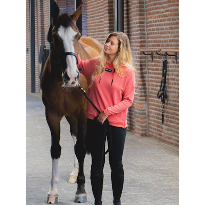 Sweat Team Hoodie FW25 Horse Pilot