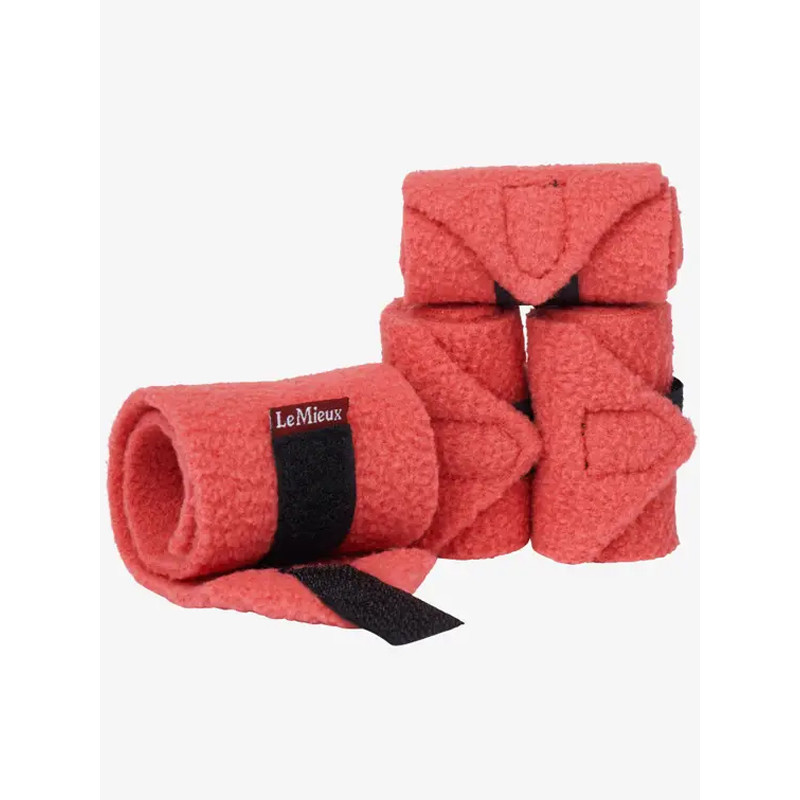 Bandes Toy Pony Lemieux