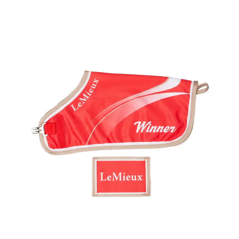 Couverture Winners Toy Pony LeMieux