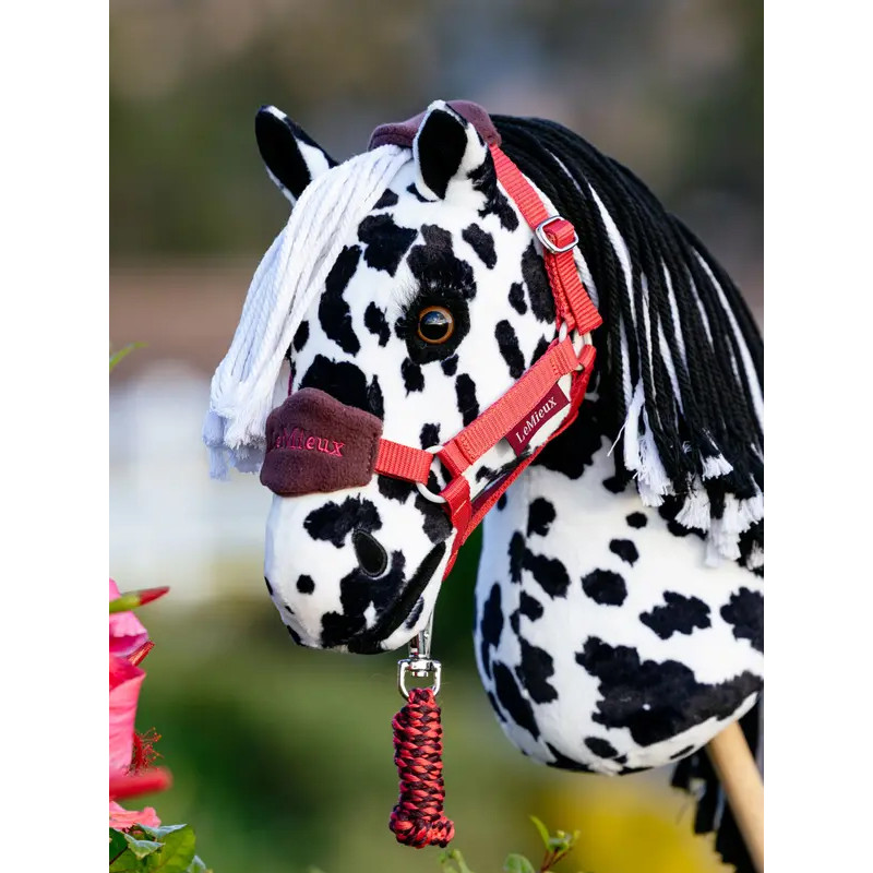 Hobby Horse Dakota LeMieux