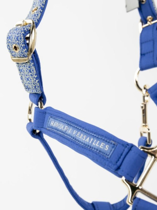 Licol et longe Maximin VersaillesxHarcour