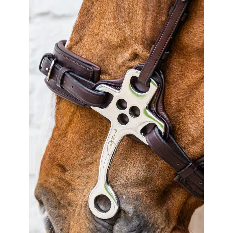 Hackamore New English Collection Dy'on