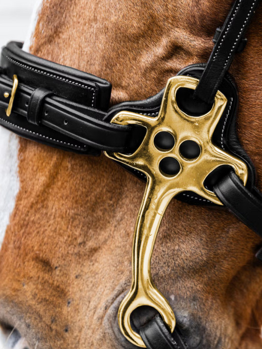 Hackamore D Collection Dy'on