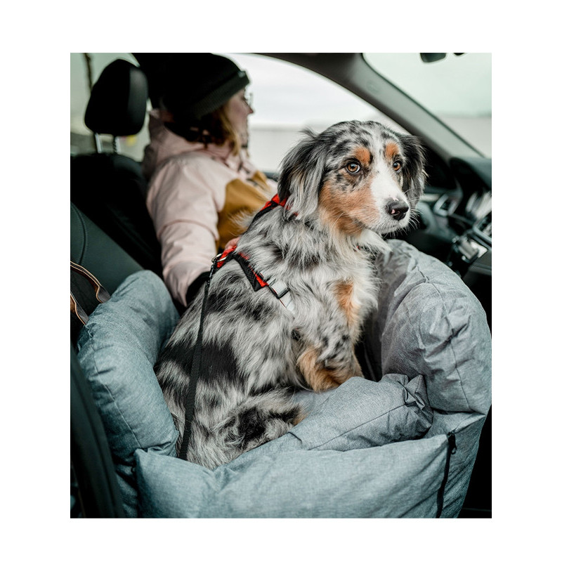 Siège de transport Bena Nobby