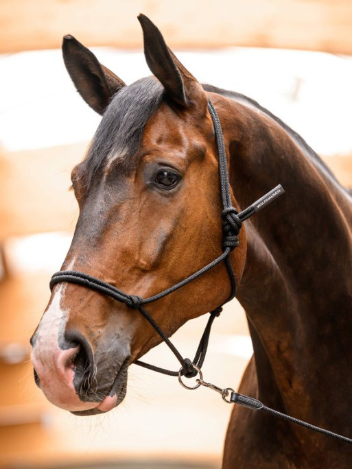 Licol à noeuds avec anneau mobile Waldhausen