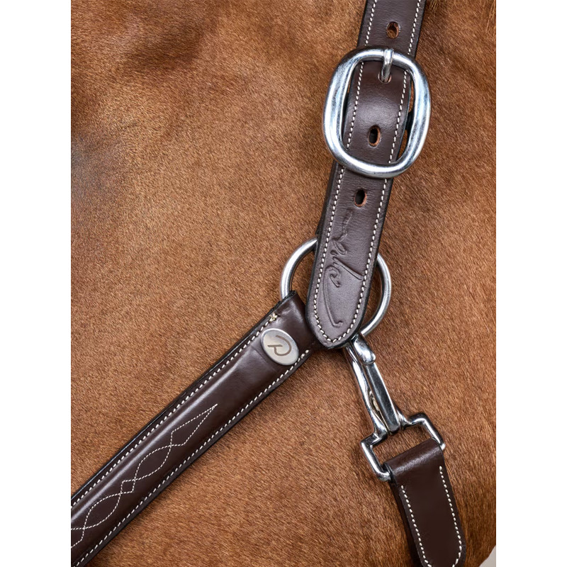 Licol en cuir Fancy Working by Dy'on