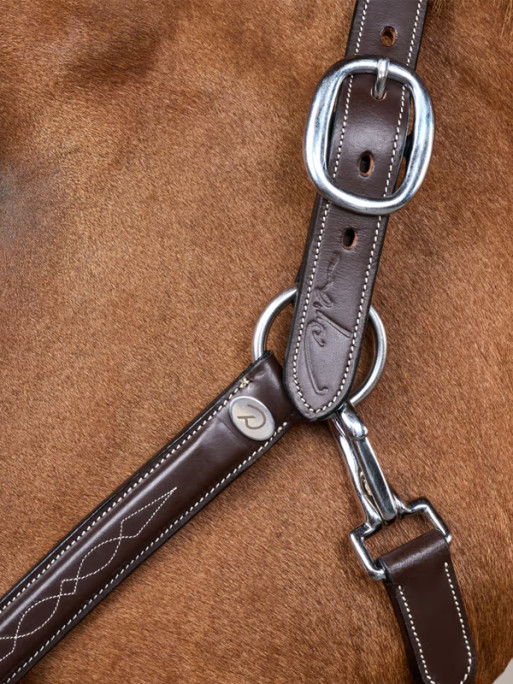 Licol en cuir Fancy Working by Dy'on