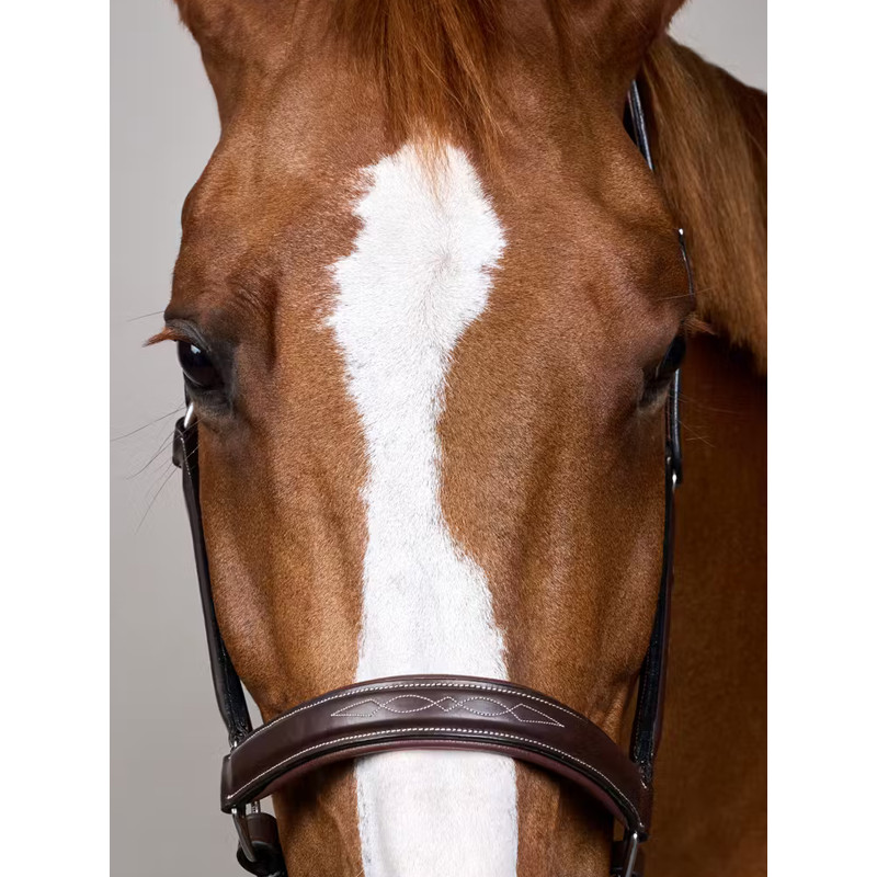 Licol en cuir Fancy Working by Dy'on