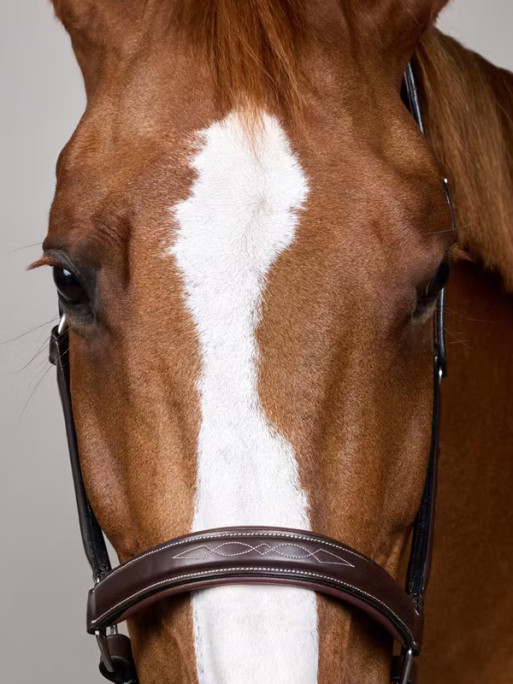 Licol en cuir Fancy Working by Dy'on