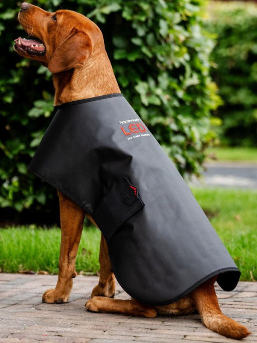 Manteau de thérapie par lumière rouge LED Horseware