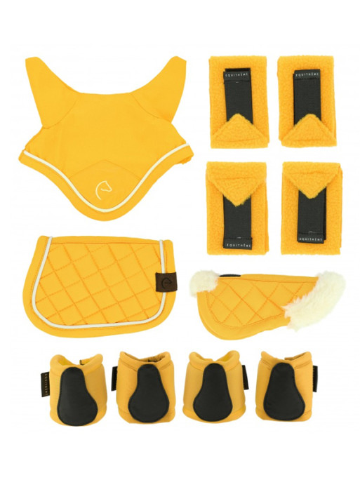 Set mini accessoires Pony Academy Equi-Thème