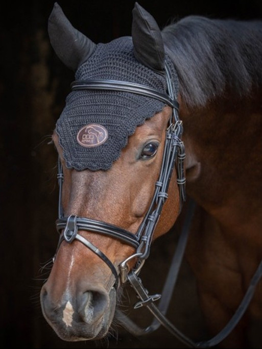 Bridon muserolle combinée Tuesday Collection Week Jump'In