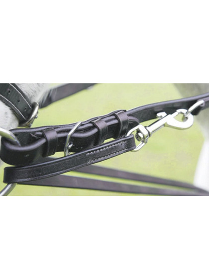 Martingale Market Harborough Velociti Gara