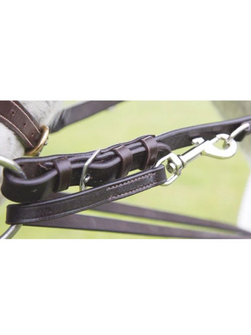 Martingale Market Harborough Velociti Gara