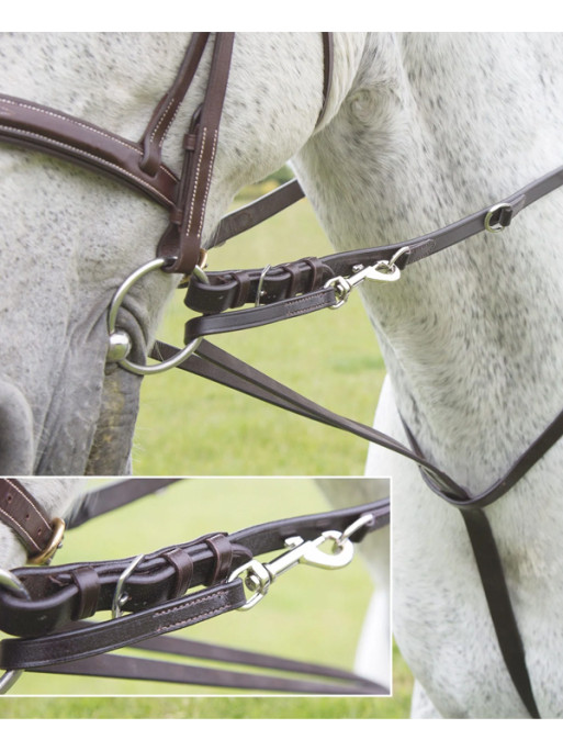 Martingale Market Harborough Velociti Gara