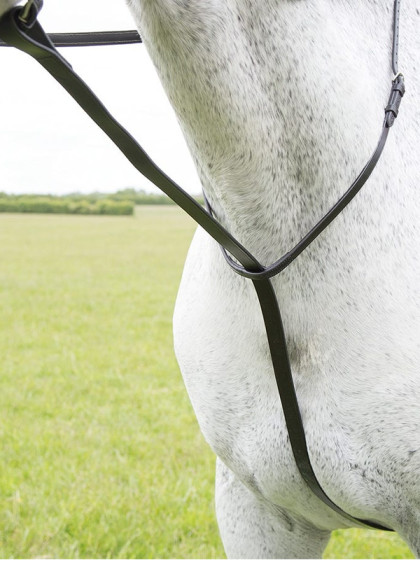 Martingale Standing Velociti Gara